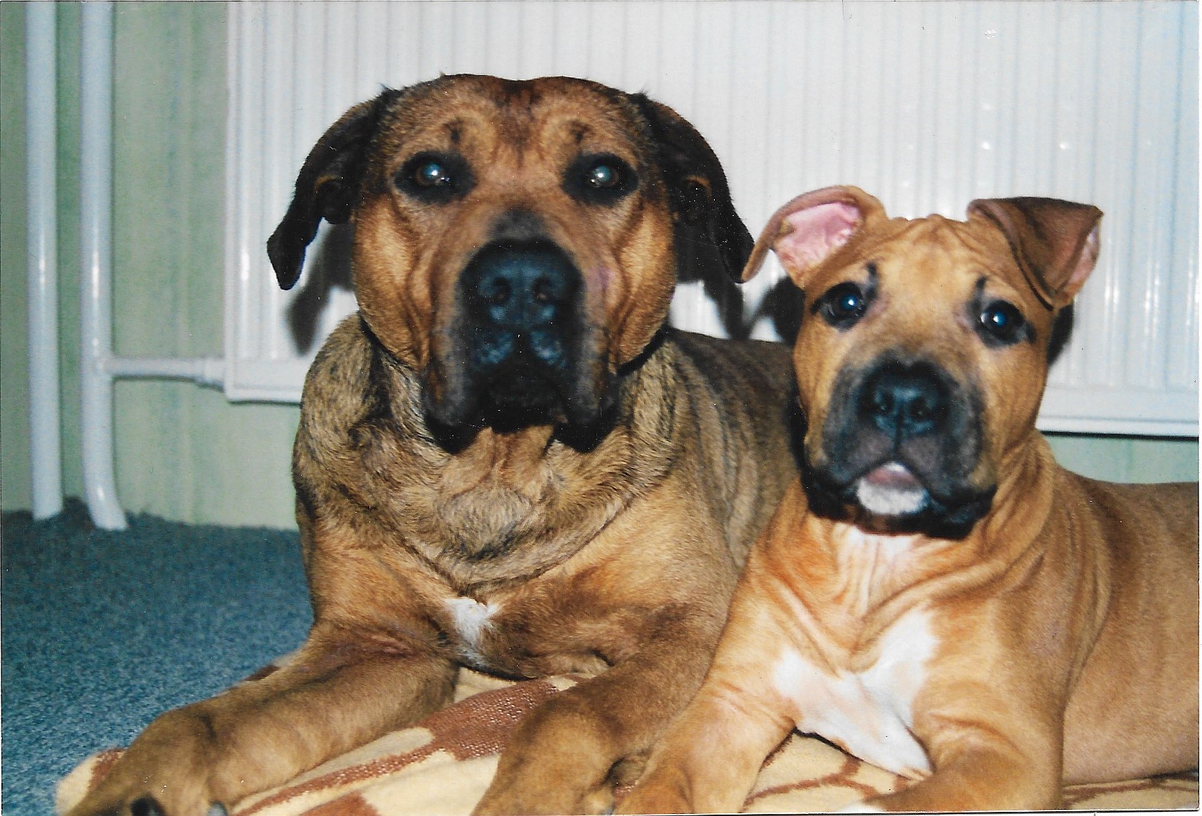 Spike und Jule 